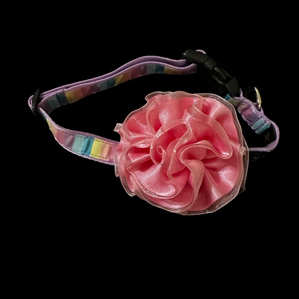 Kinky Purple Striped Floral Dog Collar Size M
